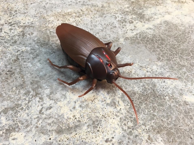 Review Giant Cockroach ของเล่นน่ารักที่คนชอบแกล้งเพื่อนไม่ควรพลาด